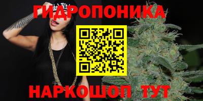 гидра Свободный
