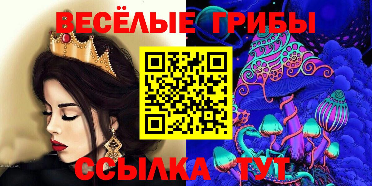 Псилоцибиновые грибы мицелий Сочи