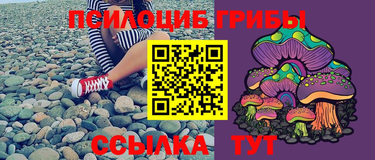 Галлюциногенные грибы прущие грибы  Галлюциногенные грибы Psilocybine cubensis  Вход с VPN  Сочи 